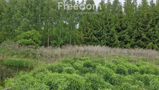 Działka ze stawem otoczona lasem Warmia Mazury
