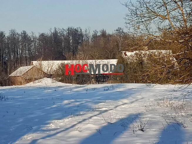 Działka rolna Obręb gm. Pokrzywnica