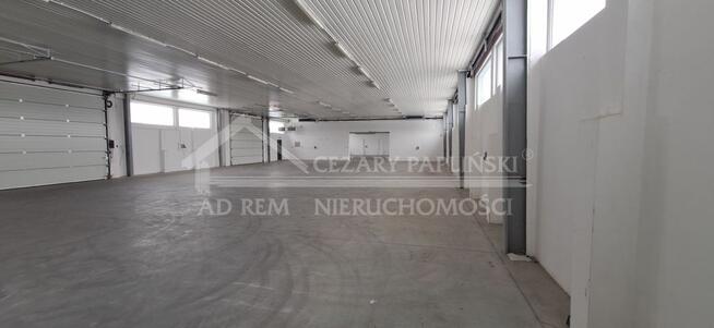 Lokal użytkowy Kurów, Kurów