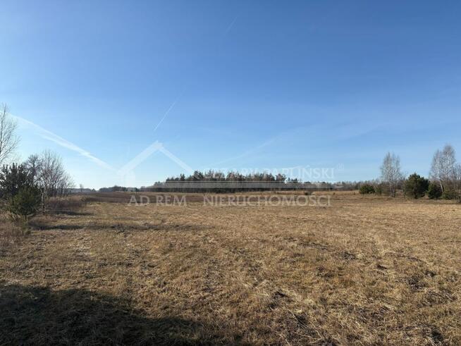 Działka inwestycyjna Trzciniec gm. Lubartów, Trzciniec, Lubartów