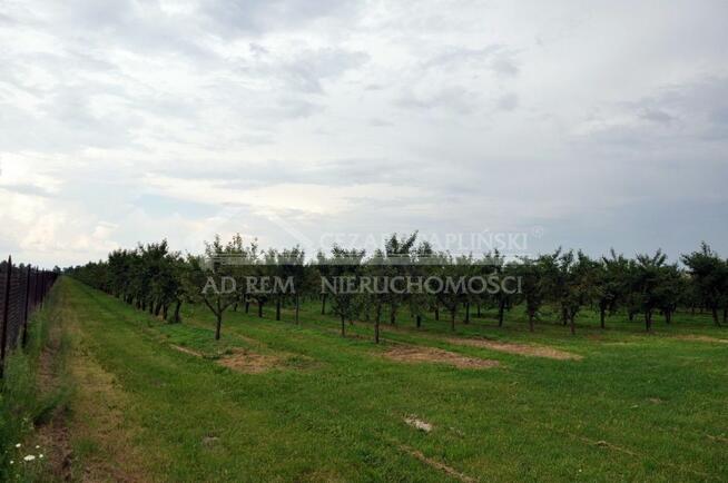 Działka budowlana Sławacinek Nowy gm. Biała Podlaska