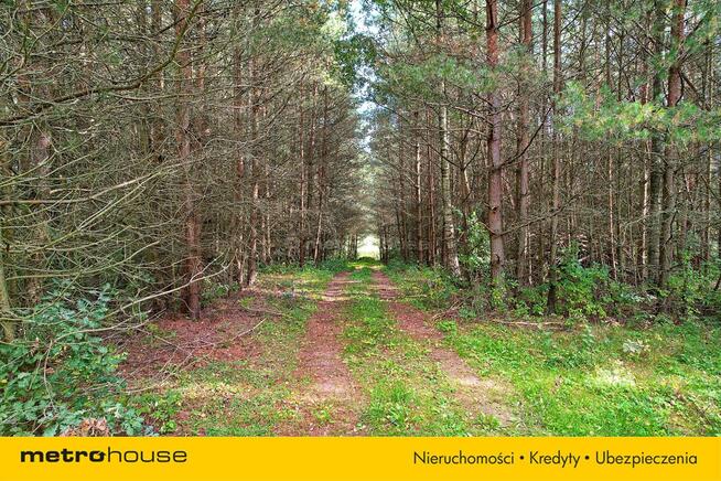 Działki rekreacyjne przy jeziorze - Borki, olecki