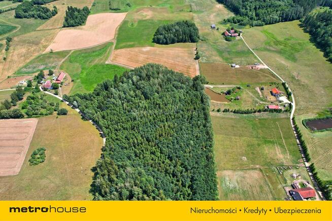 70 letni Las 3000 m2 z dobrym dojazdem Kukowo