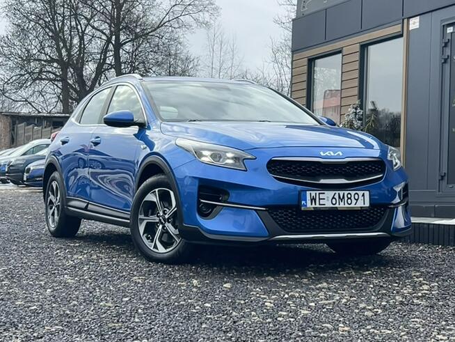 Kia XCeed Salon Polska Poleasingowy I właściciel Serwis ASO VAT 23% Bezwypadkowy