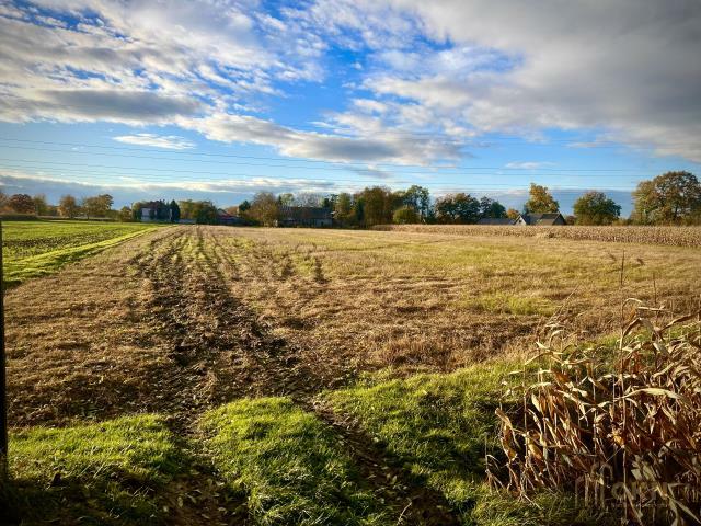 Działka rolno-budowlana Kraków Nowa Huta, Chałupki