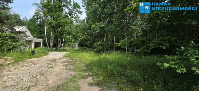 Działka pod budowę domu, udział w prywatnym lasem!