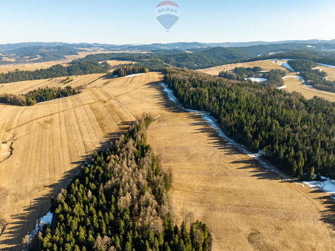 Szukasz lokaty kapitału w sąsiedztwie lasu?