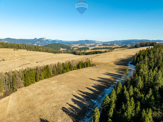 Szukasz lokaty kapitału w sąsiedztwie lasu?