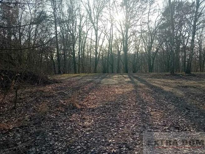 Działka budowlana nad jeziorem w Maszewie