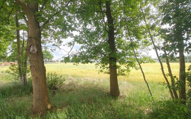Działka inwestycyjna Glinno gm. Nowy Tomyśl,