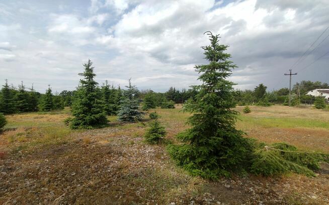 Działka inwestycyjna Glinno gm. Nowy Tomyśl,