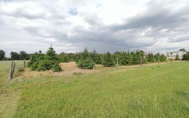 Działka inwestycyjna Glinno gm. Nowy Tomyśl,