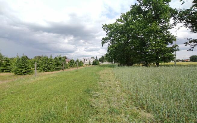 Działka inwestycyjna Glinno gm. Nowy Tomyśl,