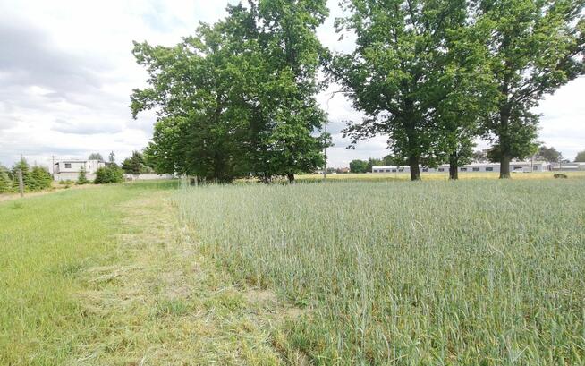 Działka inwestycyjna Glinno gm. Nowy Tomyśl,