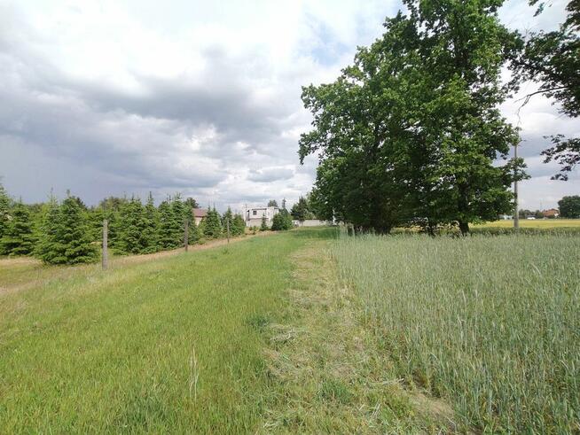 Działka inwestycyjna Glinno gm. Nowy Tomyśl,