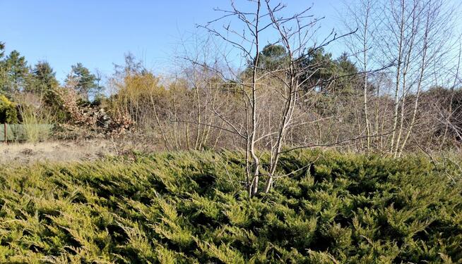 Działka budowlana Strykowo gm. Stęszew, Rybacka