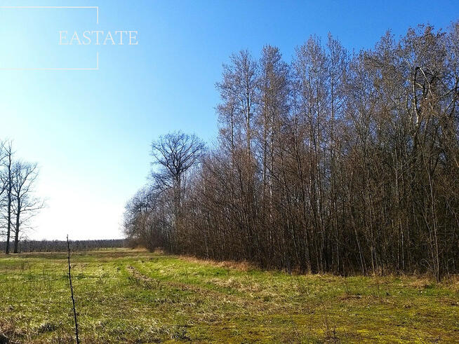 Działka budowlana Mariańskie Porzecze gm. Wilga,