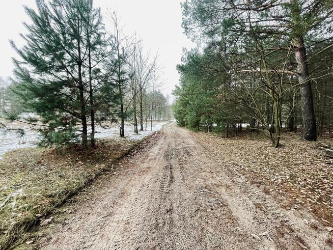 Działka budowlana Wólka gm. Słupia (Konecka),