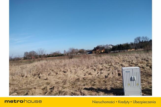 Działka, Nowe Rowiska