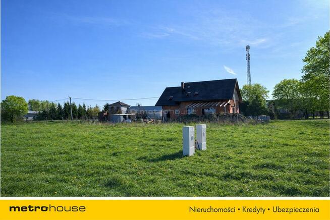 Działka, Nowe Rowiska