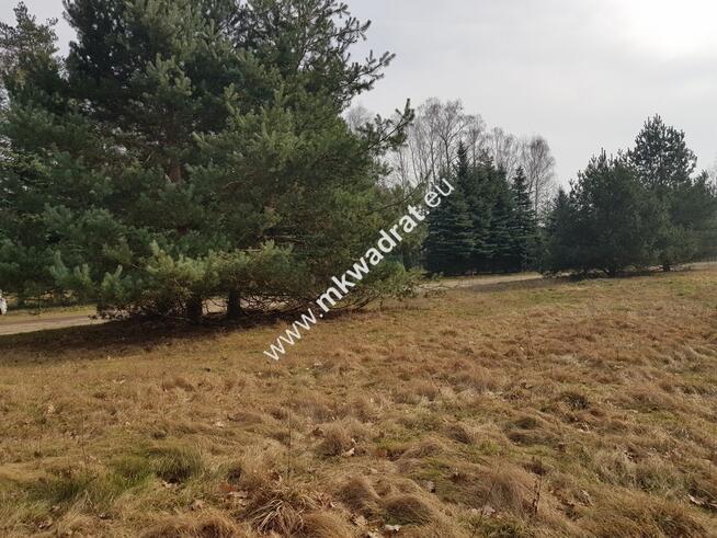 ⭐⭐⭐⭐⭐ Urokliwa Działka Makówka 1600m ⭐⭐⭐⭐⭐