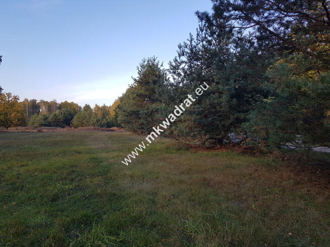 ⭐⭐⭐⭐⭐ Urokliwa Działka Makówka 1600m ⭐⭐⭐⭐⭐