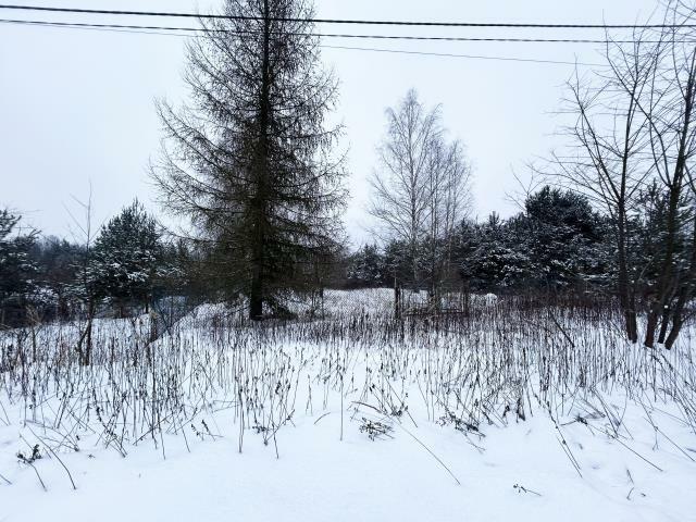 Działka budowlana Jazgarzew gm. Piaseczno, Leśna