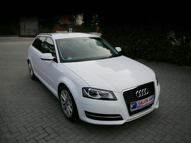 Audi A3 1.6mpi Gaz LPG Xenon Ledy Stan b.dobry bezwypadkowy Gwarancja 12mc
