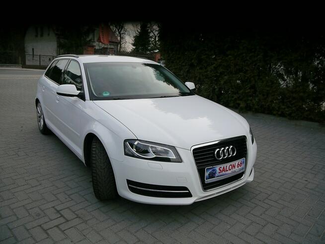 Audi A3 1.6mpi Gaz LPG Xenon Ledy Stan b.dobry bezwypadkowy Gwarancja 12mc
