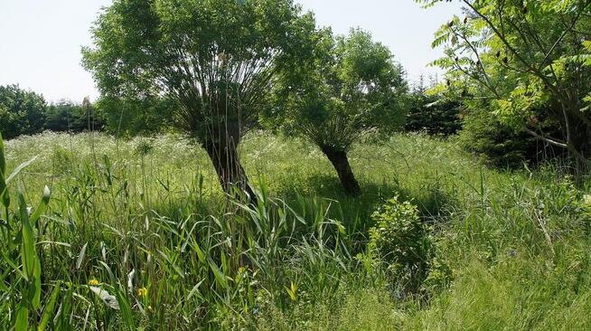 Działka z linią brzegową Rukławki,Dadaj