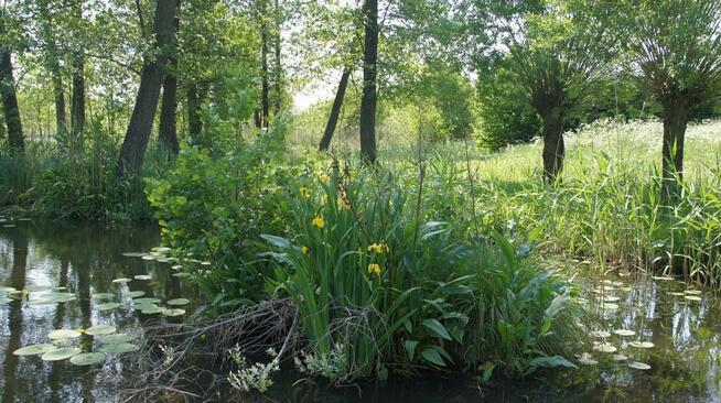 Działka z linią brzegową Rukławki,Dadaj