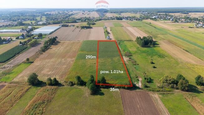 Duża działka z MPZP | 1 ha Rębków