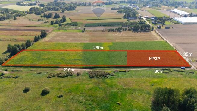 Duża działka z MPZP | 1 ha Rębków