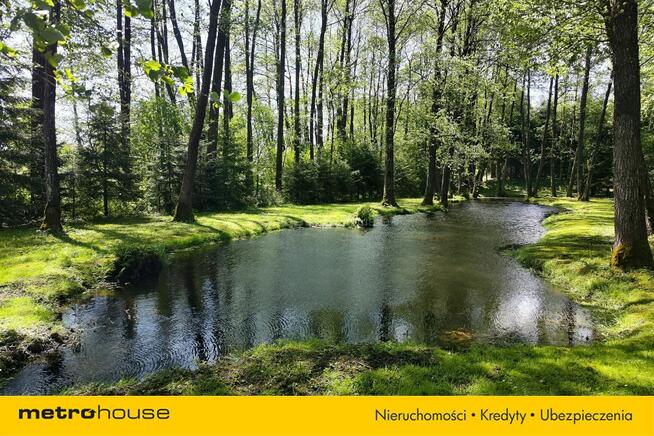 Unikatowa nieruchomość nad jeziorem Przerośl