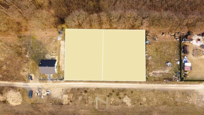 DZIAŁKA BEZPOŚREDNIO PRZY ŚCIANE LASU