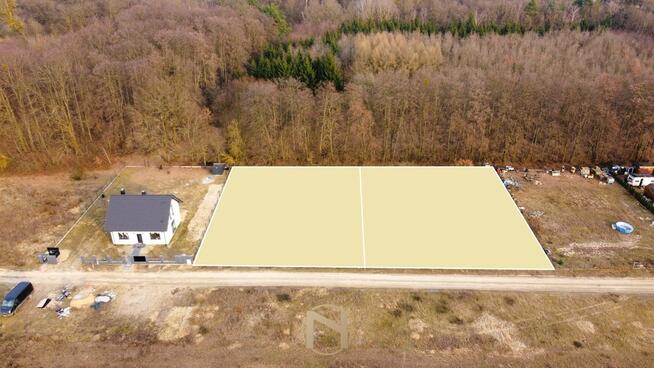 DZIAŁKA BEZPOŚREDNIO PRZY ŚCIANE LASU