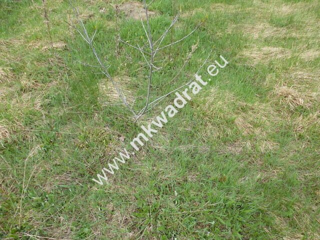 działka pod dom 2-lokalowy