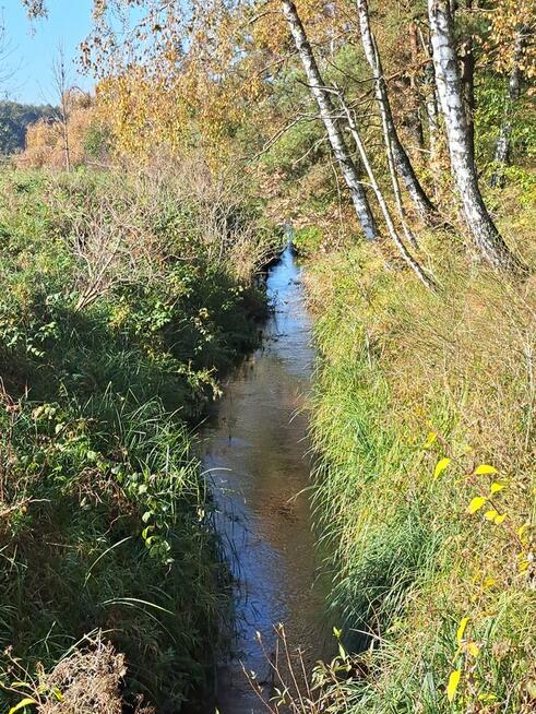 Działka budowlana w pięknym krajobrazie przyrody