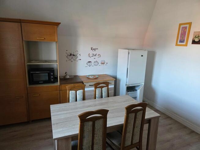 Praca przy zbiorach w Niemczech