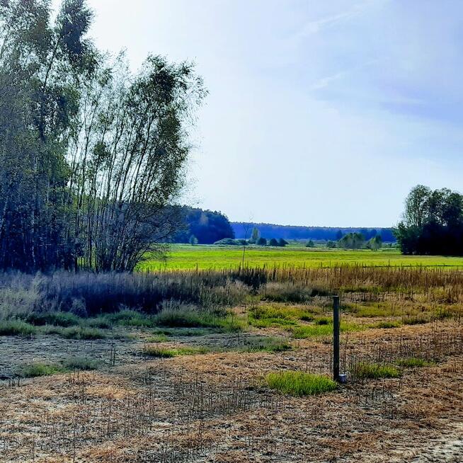 Działka budowalna obok lasu , rzeki Nidy Oksa