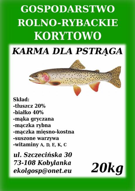 Karma pasza dla ryb karp koi pstrąg jesiotr