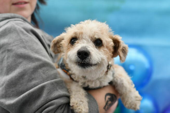 Urocza Lori czy skradnie serce Ci?