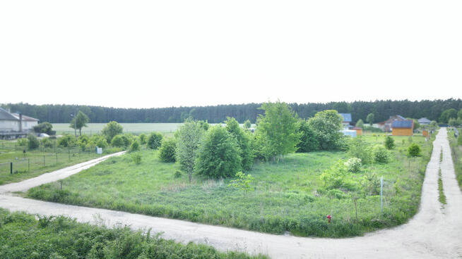 Natura, przyroda, cisza i spokój :)