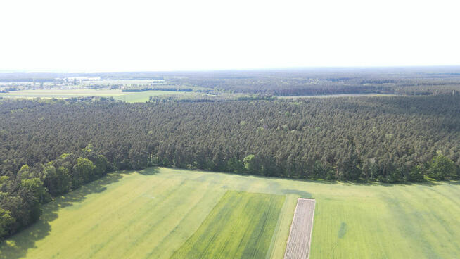 Natura, przyroda, cisza i spokój :)