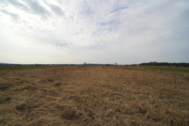 Działka rolna 0,82 ha – Dąbrowice Częściowe, gmina Kościelec