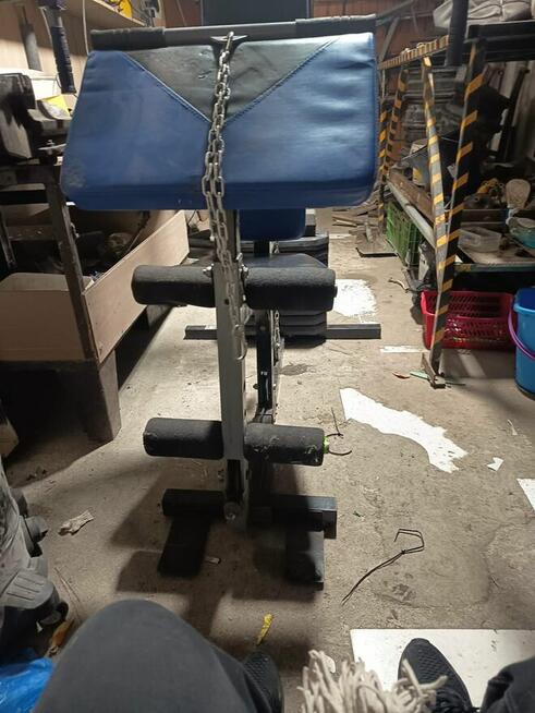 atlas do ćwiczeń ONE FITNESS Hektor