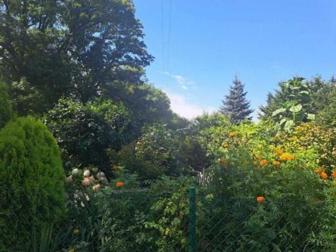 Działka ROD na Alei Pokoju 70m2 Kluczbork