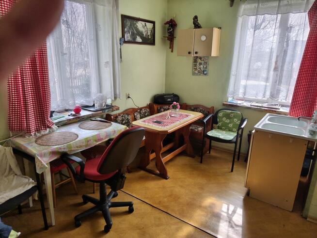 Zaopiekuję się Twoim psem, zamieszka ze mną w domu :)