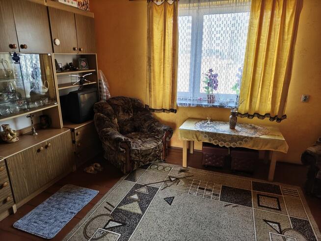 Zaopiekuję się Twoim psem, zamieszka ze mną w domu :)