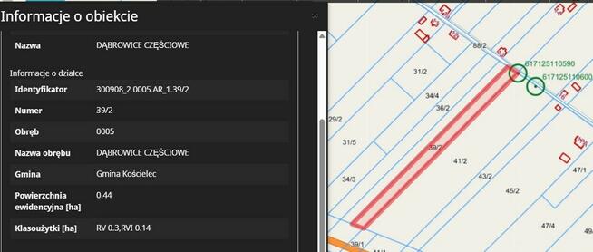 Działka rolna 0,82 ha – Dąbrowice Częściowe, gmina Kościelec